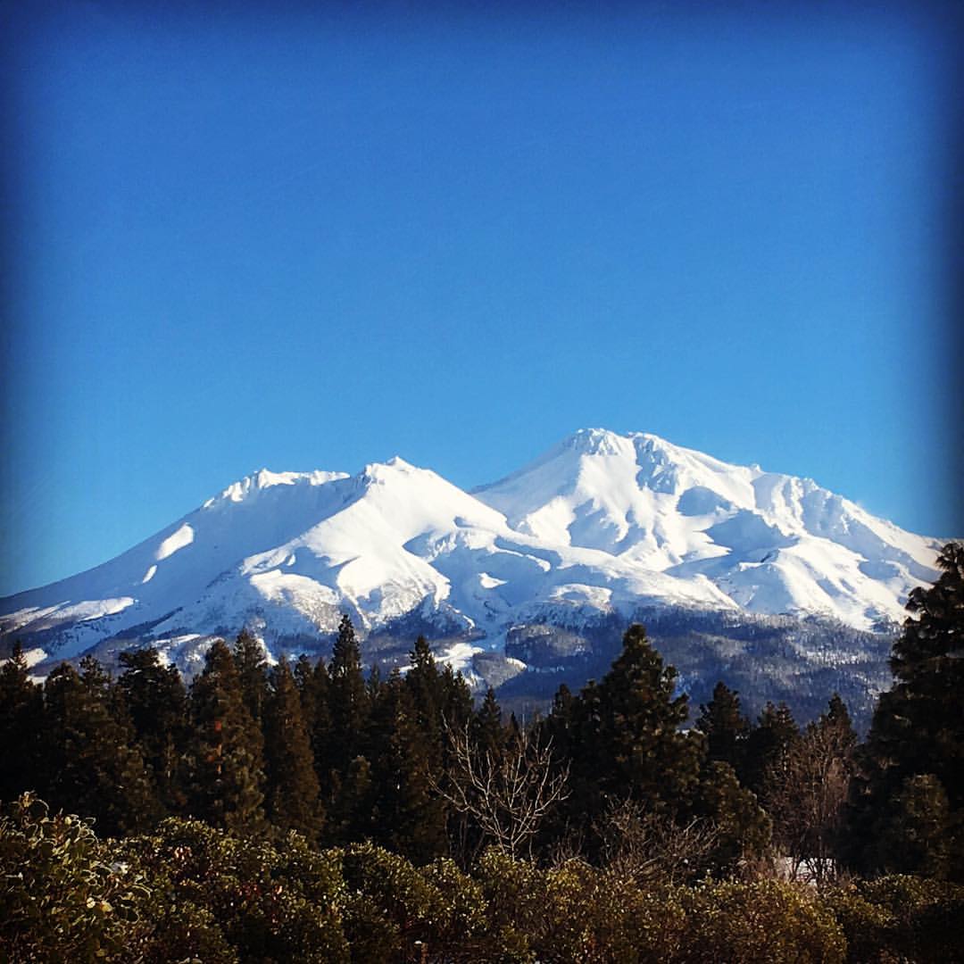 mount shasta california